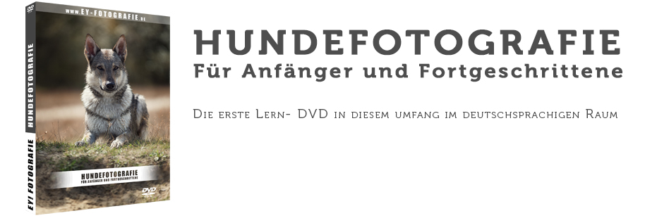 landingbanner2
